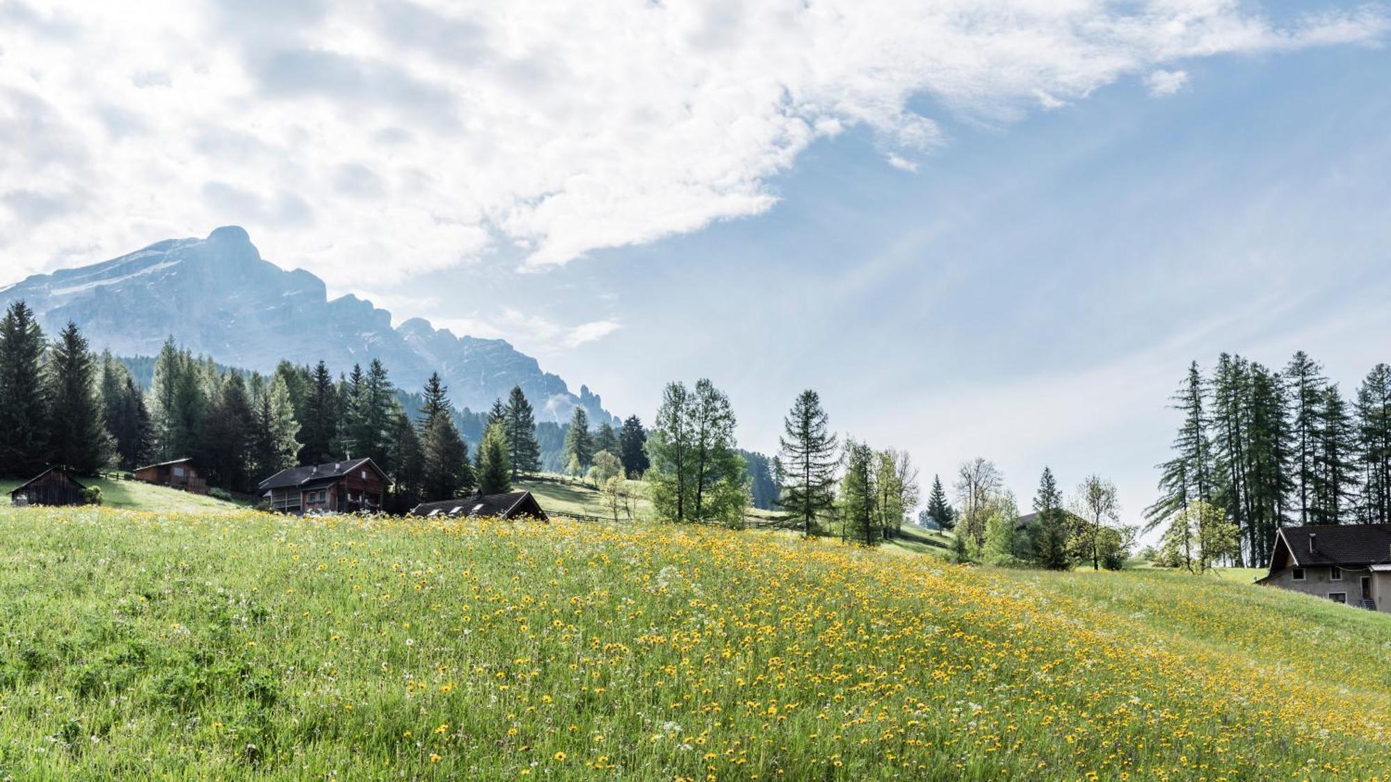 Miraval NaturHotel Badia (South Tyrol) Exterior foto